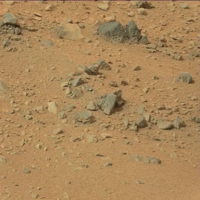 Sol 110: Mast Camera (Mastcam)