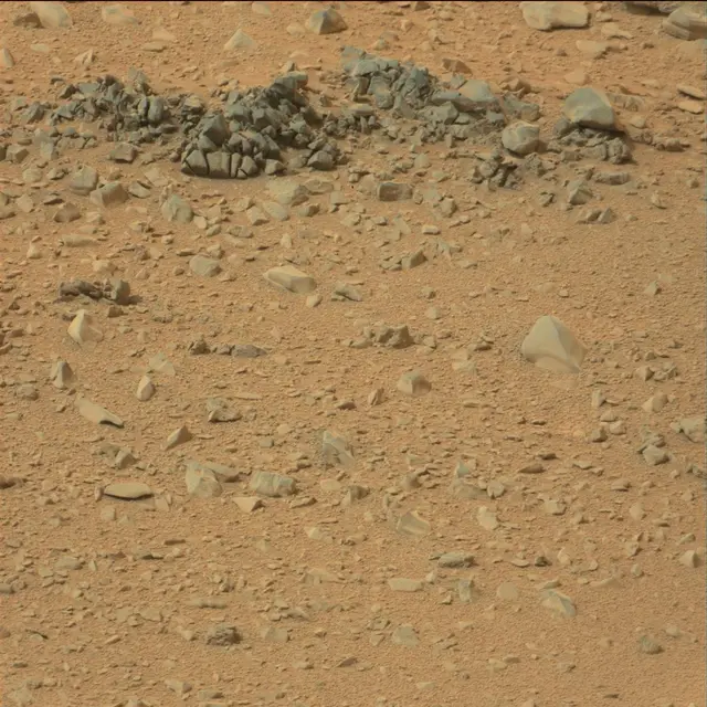Sol 110: Mast Camera (Mastcam)