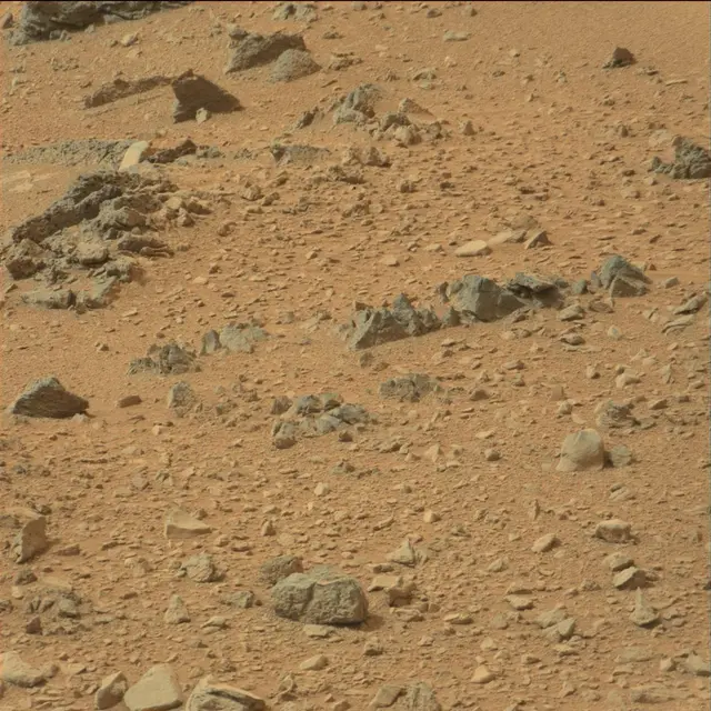 Sol 110: Mast Camera (Mastcam)