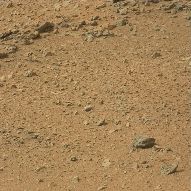 Sol 110: Mast Camera (Mastcam)