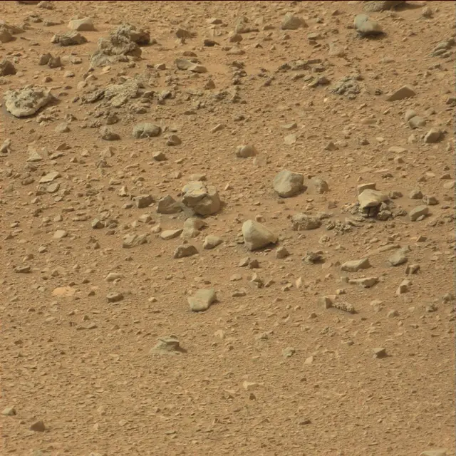 Sol 110: Mast Camera (Mastcam)