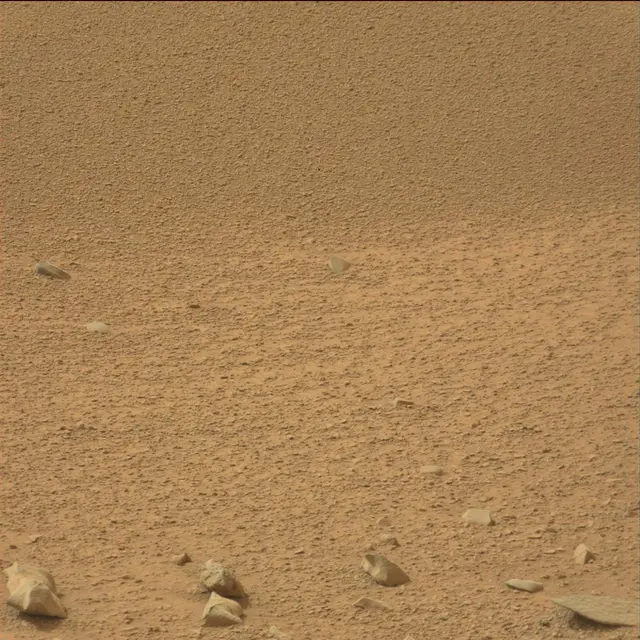 Sol 110: Mast Camera (Mastcam)