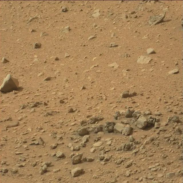 Sol 110: Mast Camera (Mastcam)