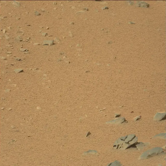 Sol 110: Mast Camera (Mastcam)