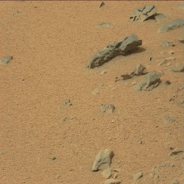 Sol 110: Mast Camera (Mastcam)