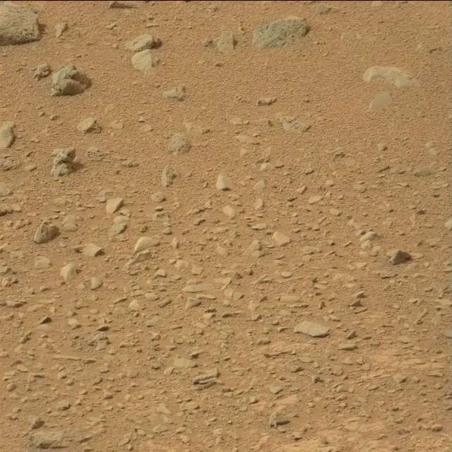 Sol 110: Mast Camera (Mastcam)