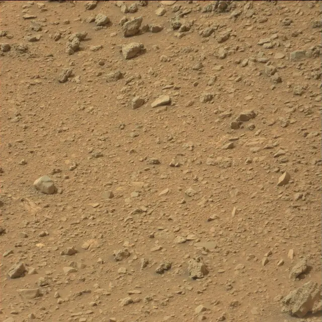 Sol 110: Mast Camera (Mastcam)