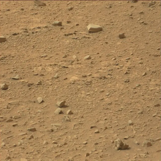 Sol 110: Mast Camera (Mastcam)