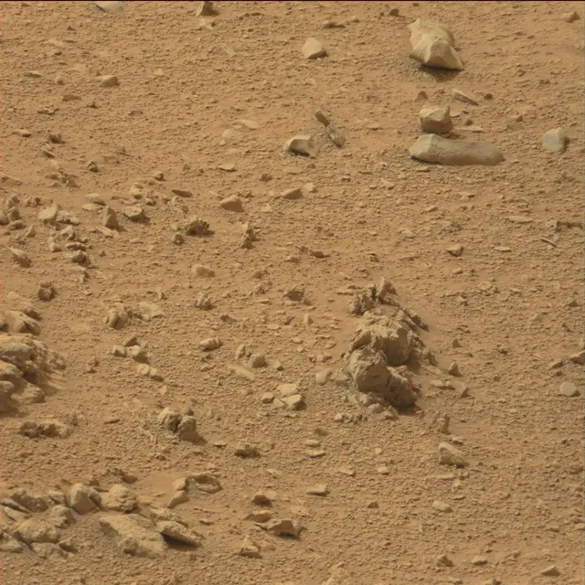 Sol 110: Mast Camera (Mastcam)