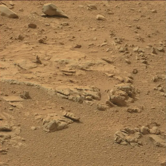 Sol 110: Mast Camera (Mastcam)