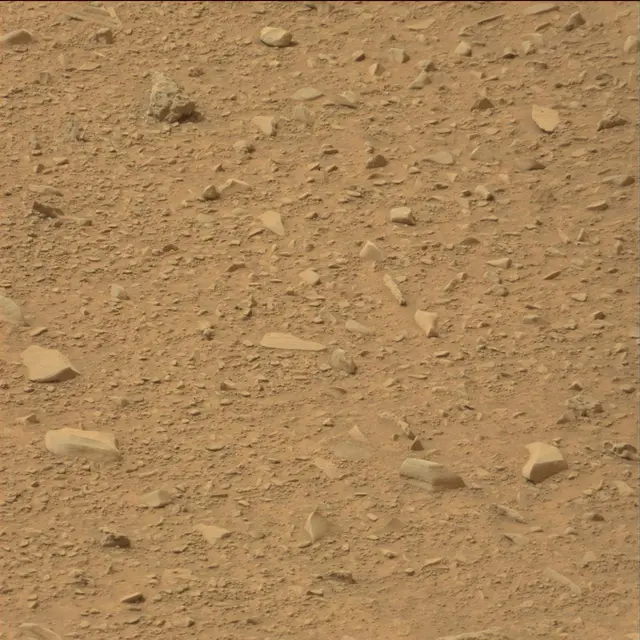 Sol 110: Mast Camera (Mastcam)