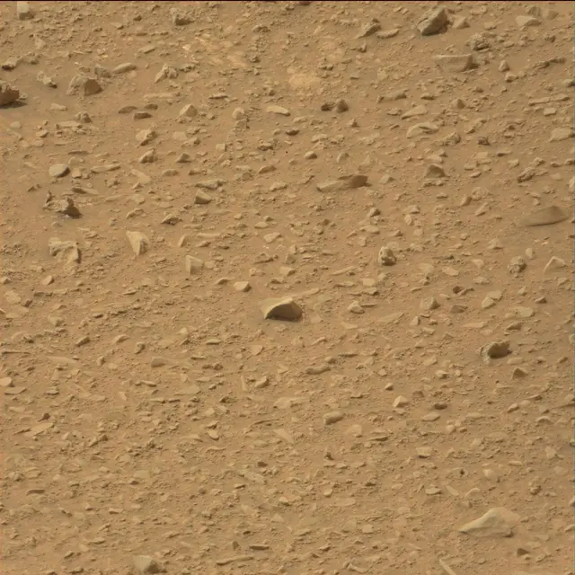 Sol 110: Mast Camera (Mastcam)