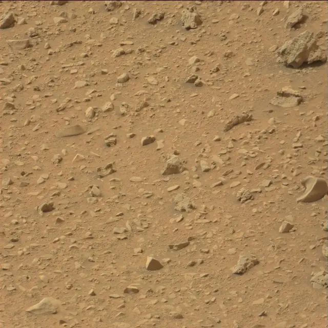 Sol 110: Mast Camera (Mastcam)