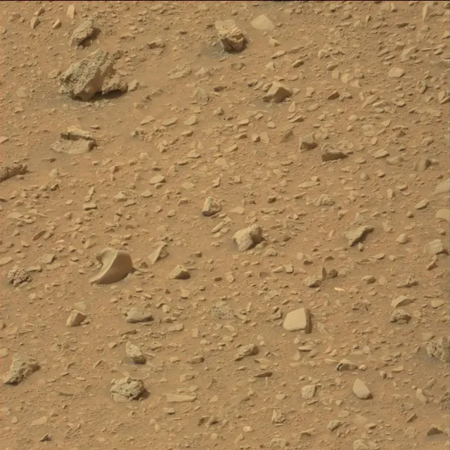 Sol 110: Mast Camera (Mastcam)