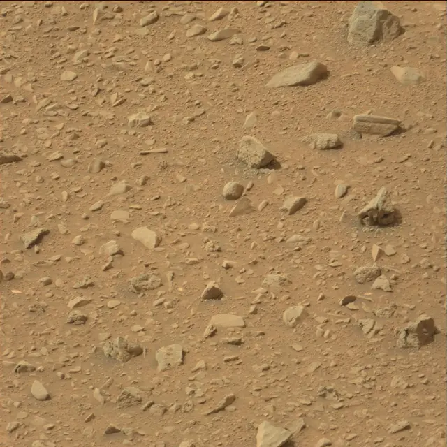 Sol 110: Mast Camera (Mastcam)
