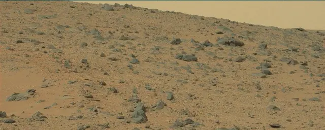 Sol 111: Mast Camera (Mastcam)