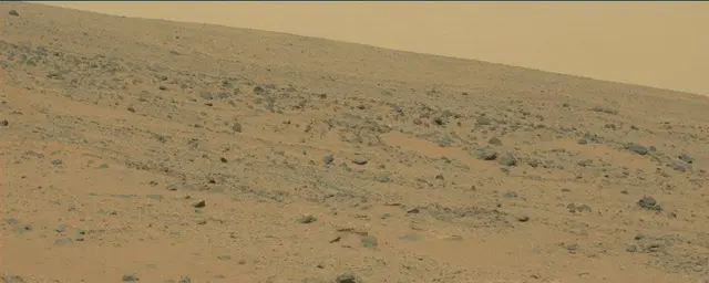 Sol 111: Mast Camera (Mastcam)