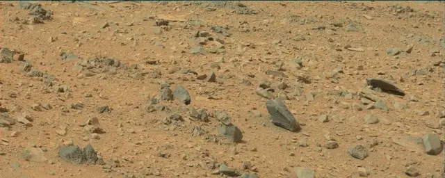 Sol 111: Mast Camera (Mastcam)