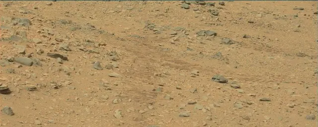 Sol 111: Mast Camera (Mastcam)