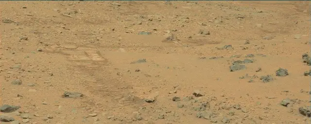 Sol 111: Mast Camera (Mastcam)