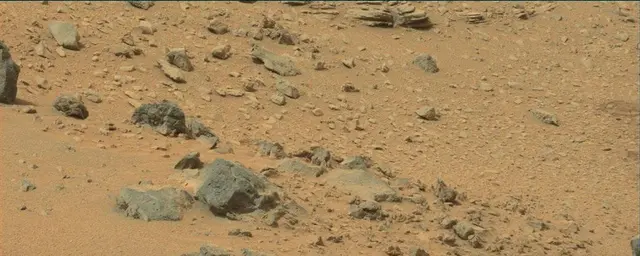 Sol 111: Mast Camera (Mastcam)