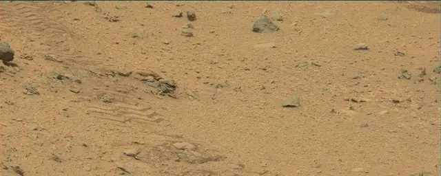 Sol 111: Mast Camera (Mastcam)