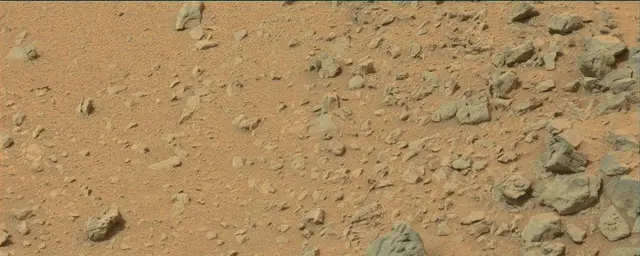 Sol 111: Mast Camera (Mastcam)