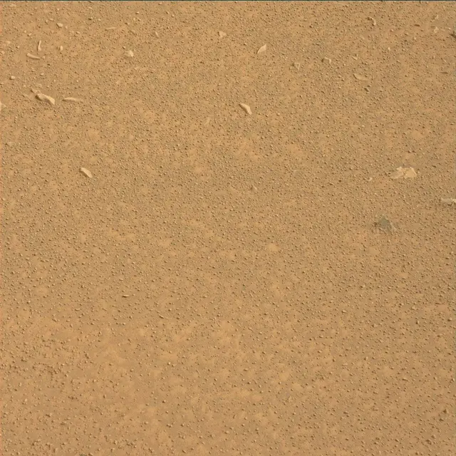 Sol 111: Mast Camera (Mastcam)