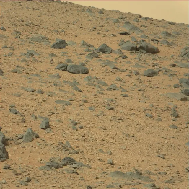 Sol 111: Mast Camera (Mastcam)