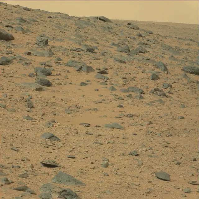 Sol 111: Mast Camera (Mastcam)