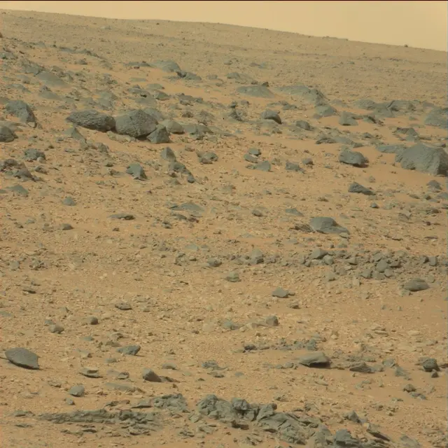Sol 111: Mast Camera (Mastcam)