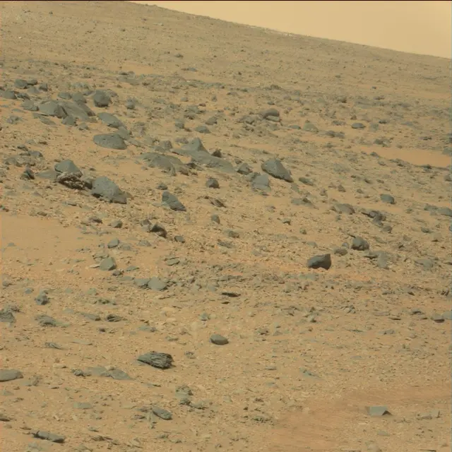 Sol 111: Mast Camera (Mastcam)