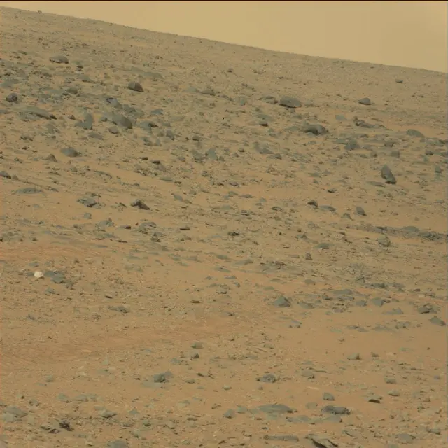Sol 111: Mast Camera (Mastcam)