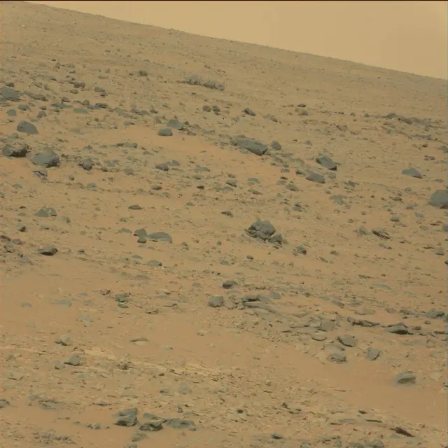 Sol 111: Mast Camera (Mastcam)