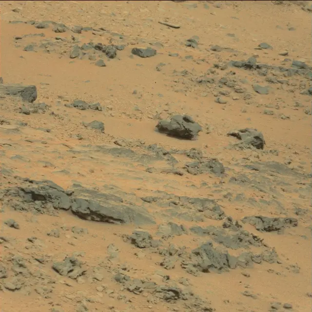 Sol 111: Mast Camera (Mastcam)