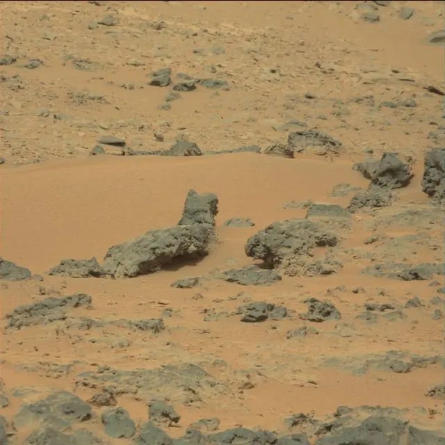 Sol 111: Mast Camera (Mastcam)