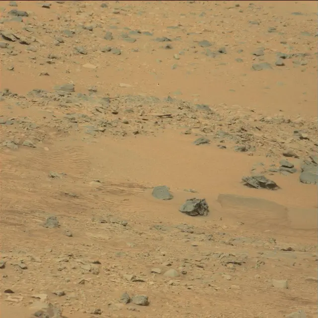 Sol 111: Mast Camera (Mastcam)