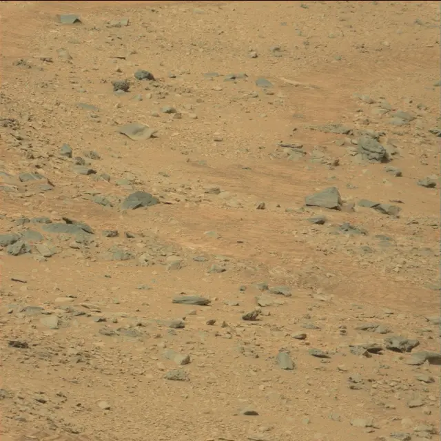 Sol 111: Mast Camera (Mastcam)