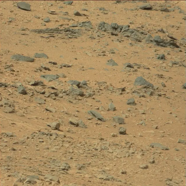 Sol 111: Mast Camera (Mastcam)