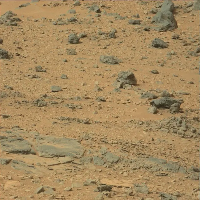 Sol 111: Mast Camera (Mastcam)