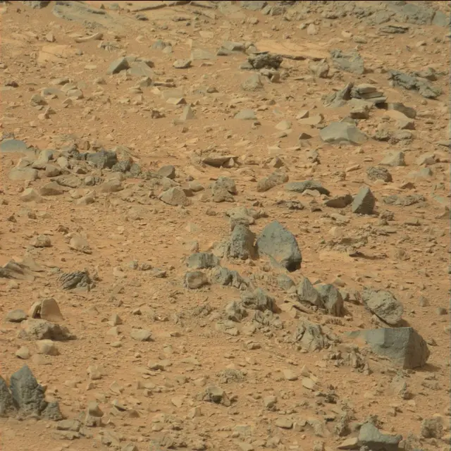 Sol 111: Mast Camera (Mastcam)