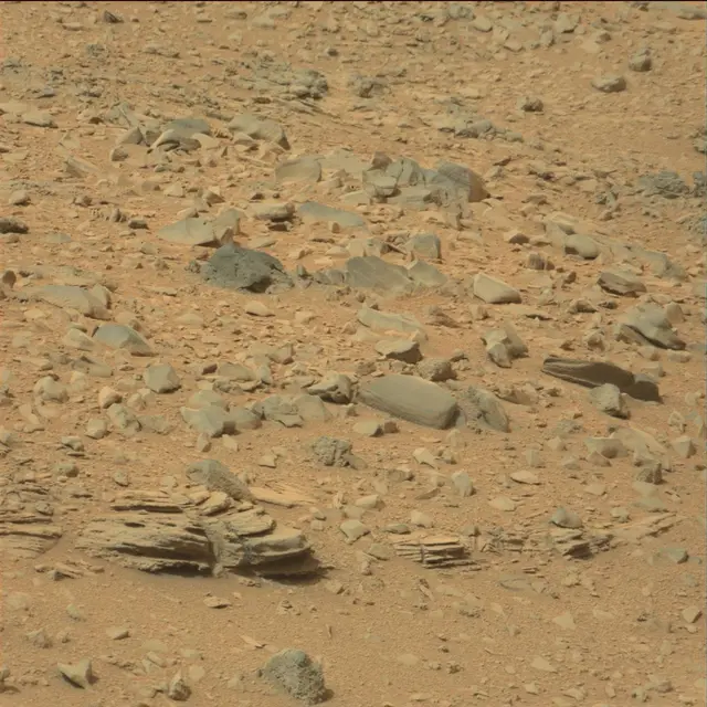 Sol 111: Mast Camera (Mastcam)