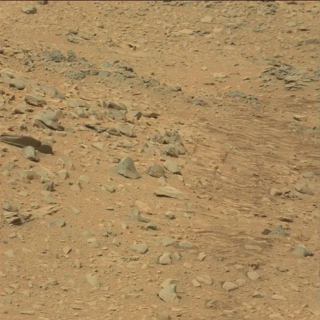 Sol 111: Mast Camera (Mastcam)