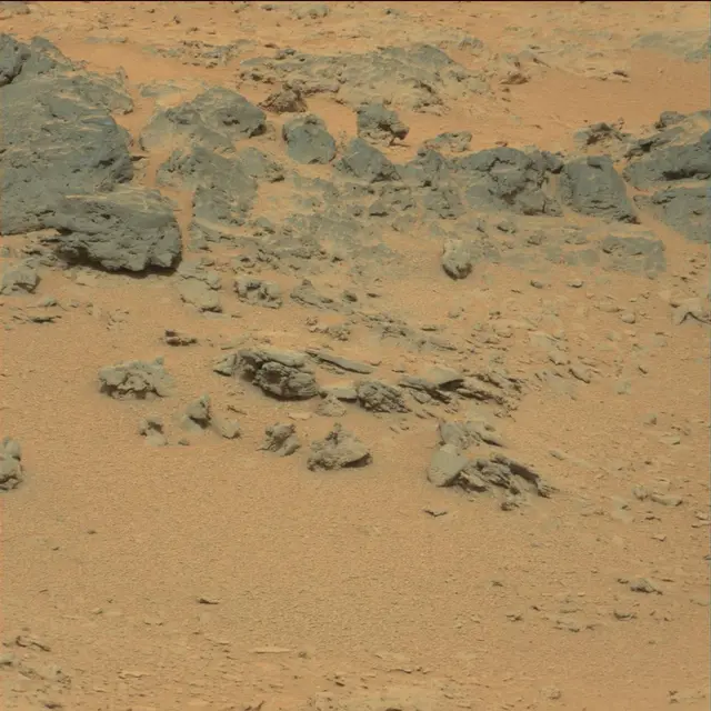 Sol 111: Mast Camera (Mastcam)