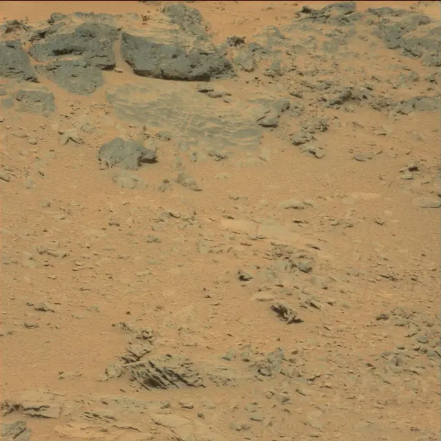 Sol 111: Mast Camera (Mastcam)