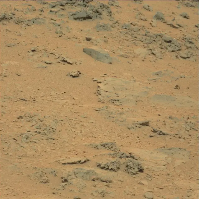 Sol 111: Mast Camera (Mastcam)