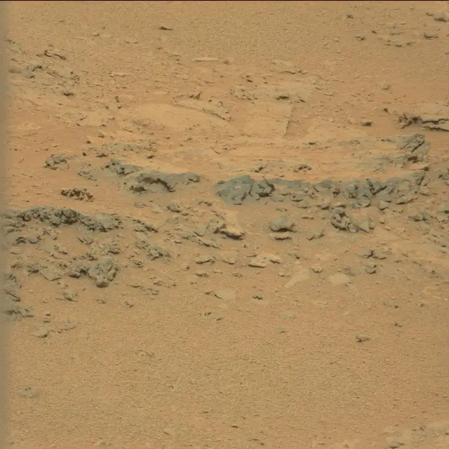 Sol 111: Mast Camera (Mastcam)