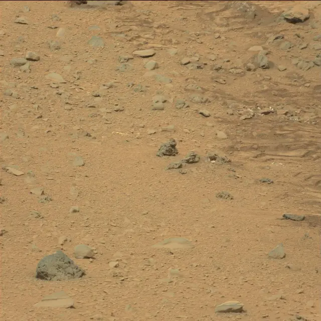 Sol 111: Mast Camera (Mastcam)