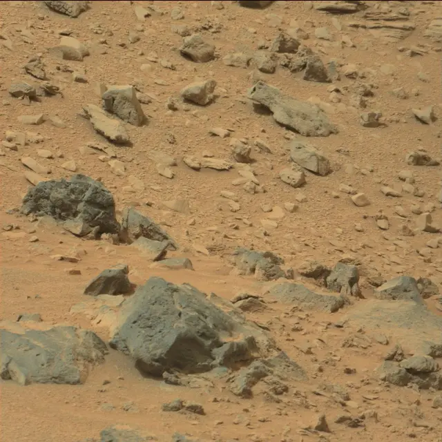 Sol 111: Mast Camera (Mastcam)