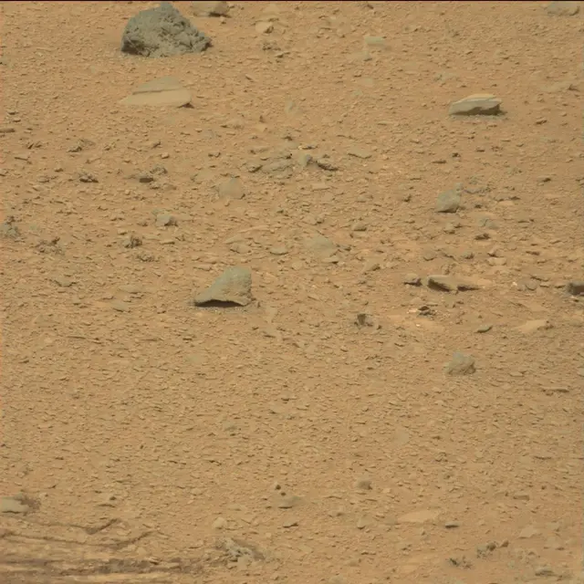 Sol 111: Mast Camera (Mastcam)